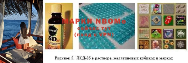 хмурый Алзамай
