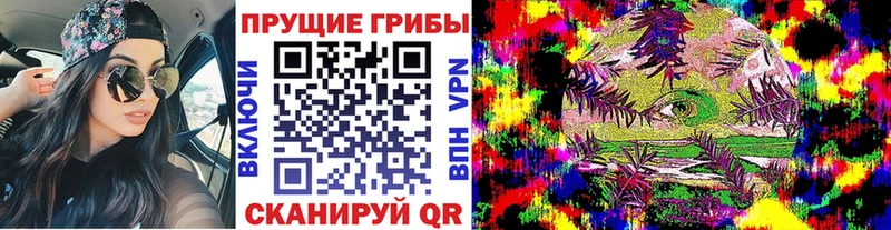 Галлюциногенные грибы MAGIC MUSHROOMS Брюховецкая